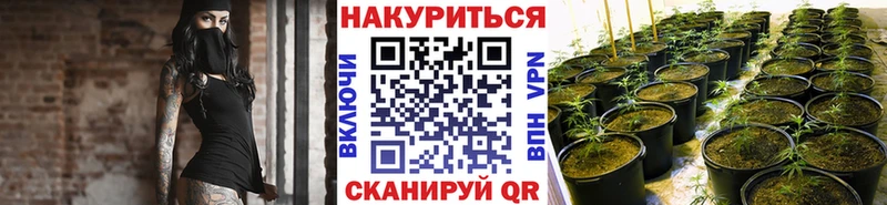 Наркошоп купить ГАШ  Амфетамин  COCAIN  Галлюциногенные грибы  Конопля  МЕФ  Княгинино