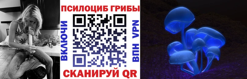 Галлюциногенные грибы прущие грибы Купить где Княгинино